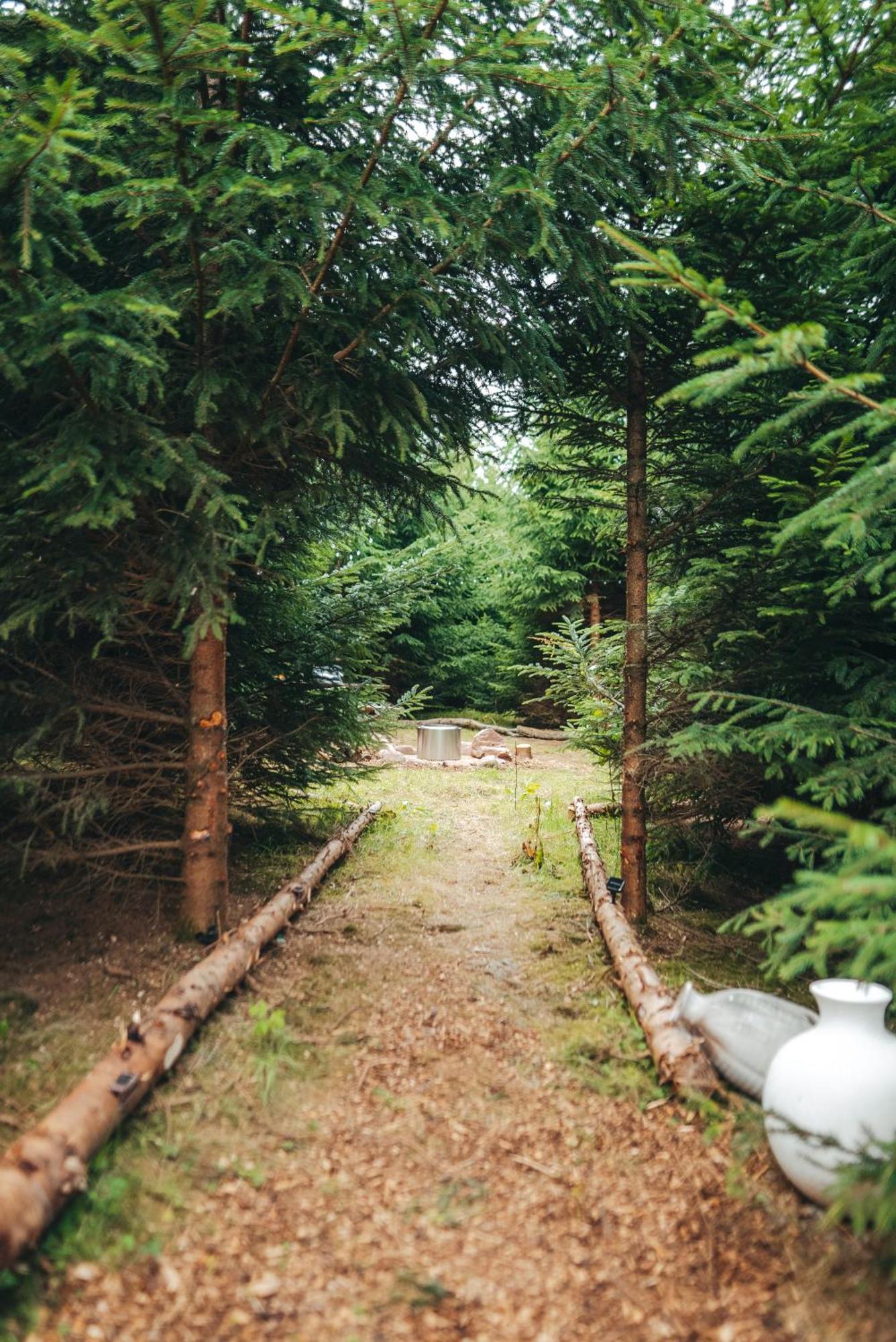 Cosy Forest Lodge Penrhos  Exterior photo