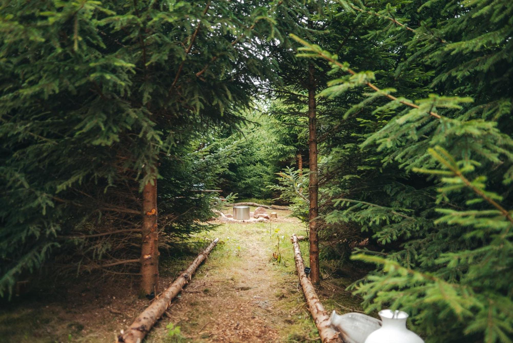 Cosy Forest Lodge Penrhos  Exterior photo